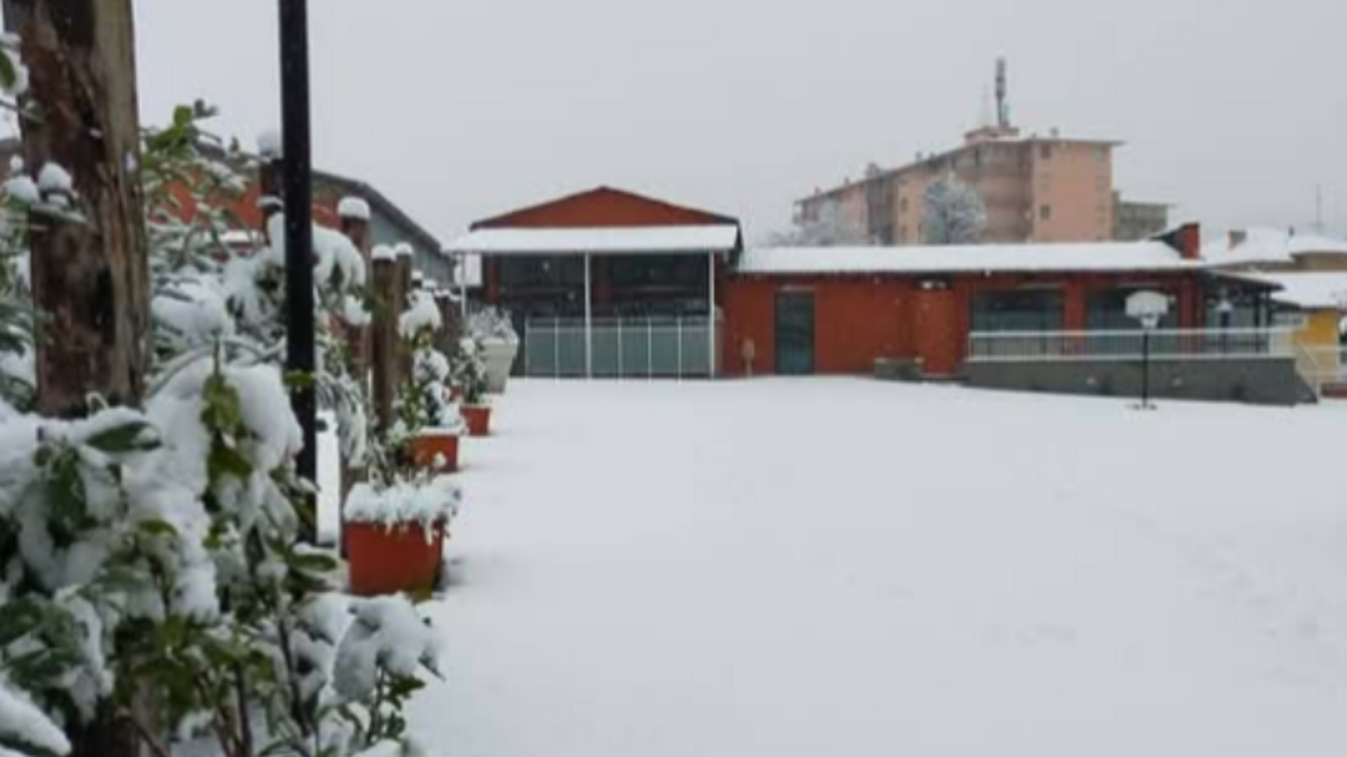 Photo of A.C.I.B Onlus Biella Assalam