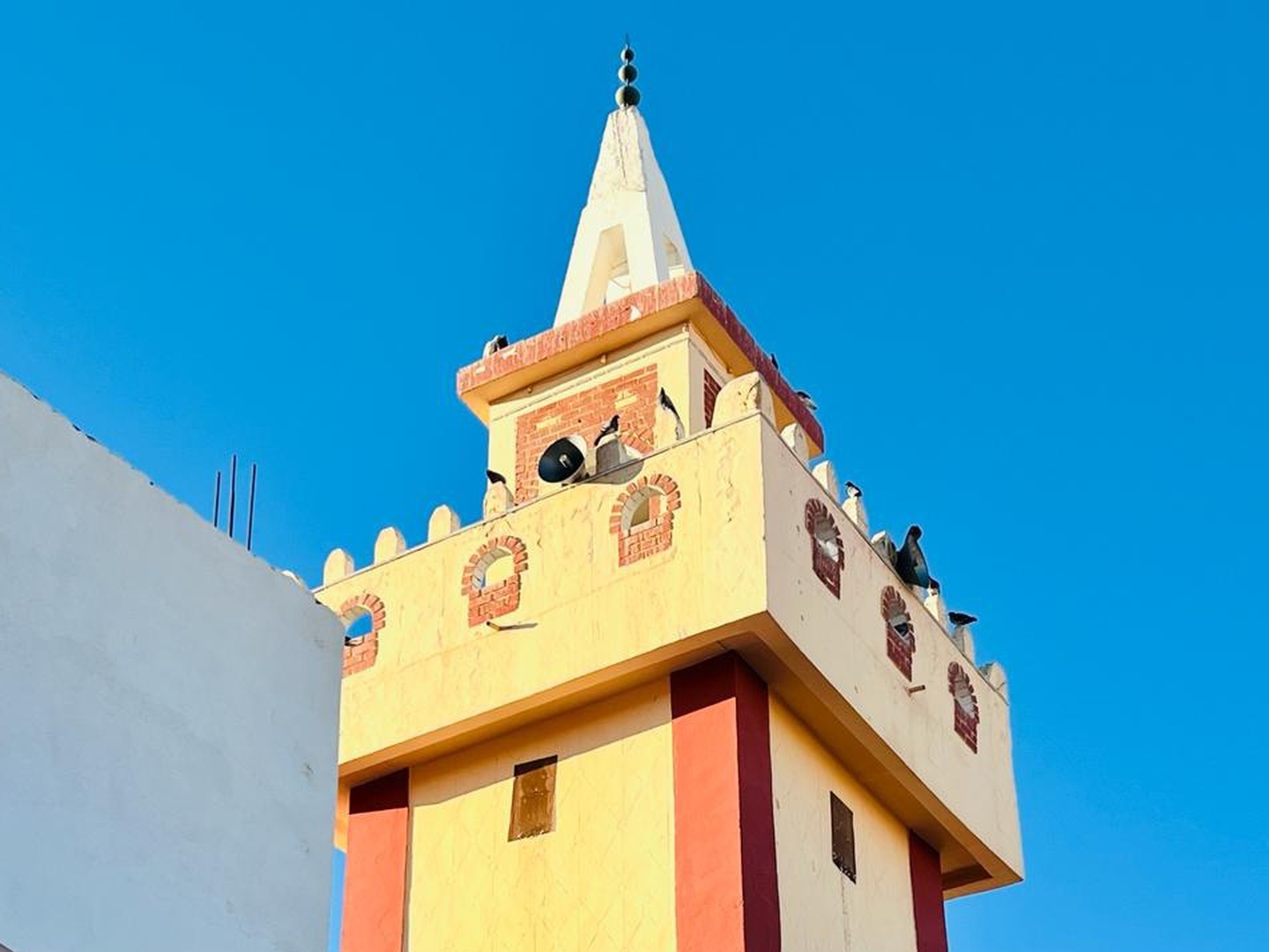 Photo de جامع سيدي بو علي
