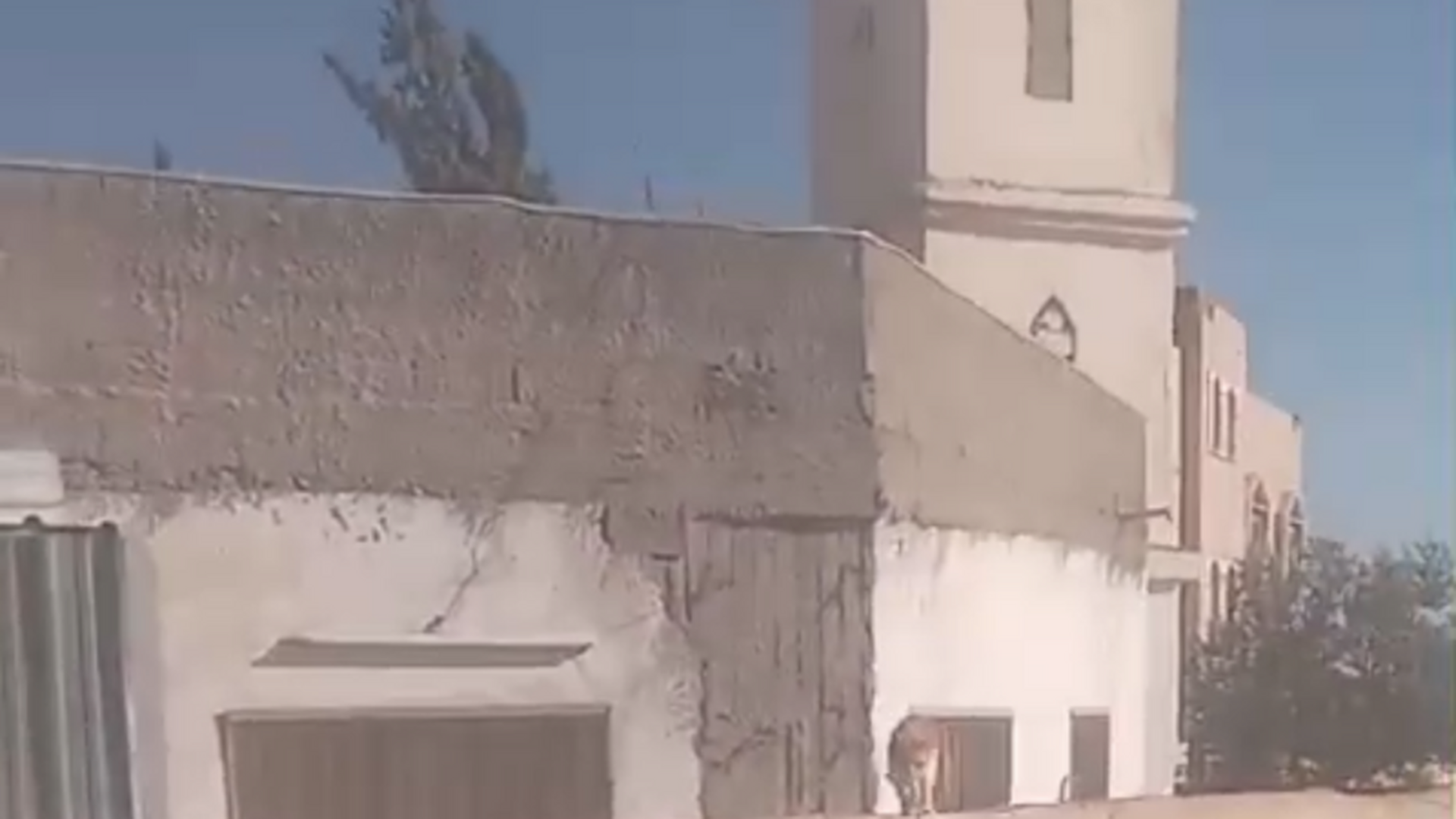 Photo of مسجد ارينبه الغربيه الكبير