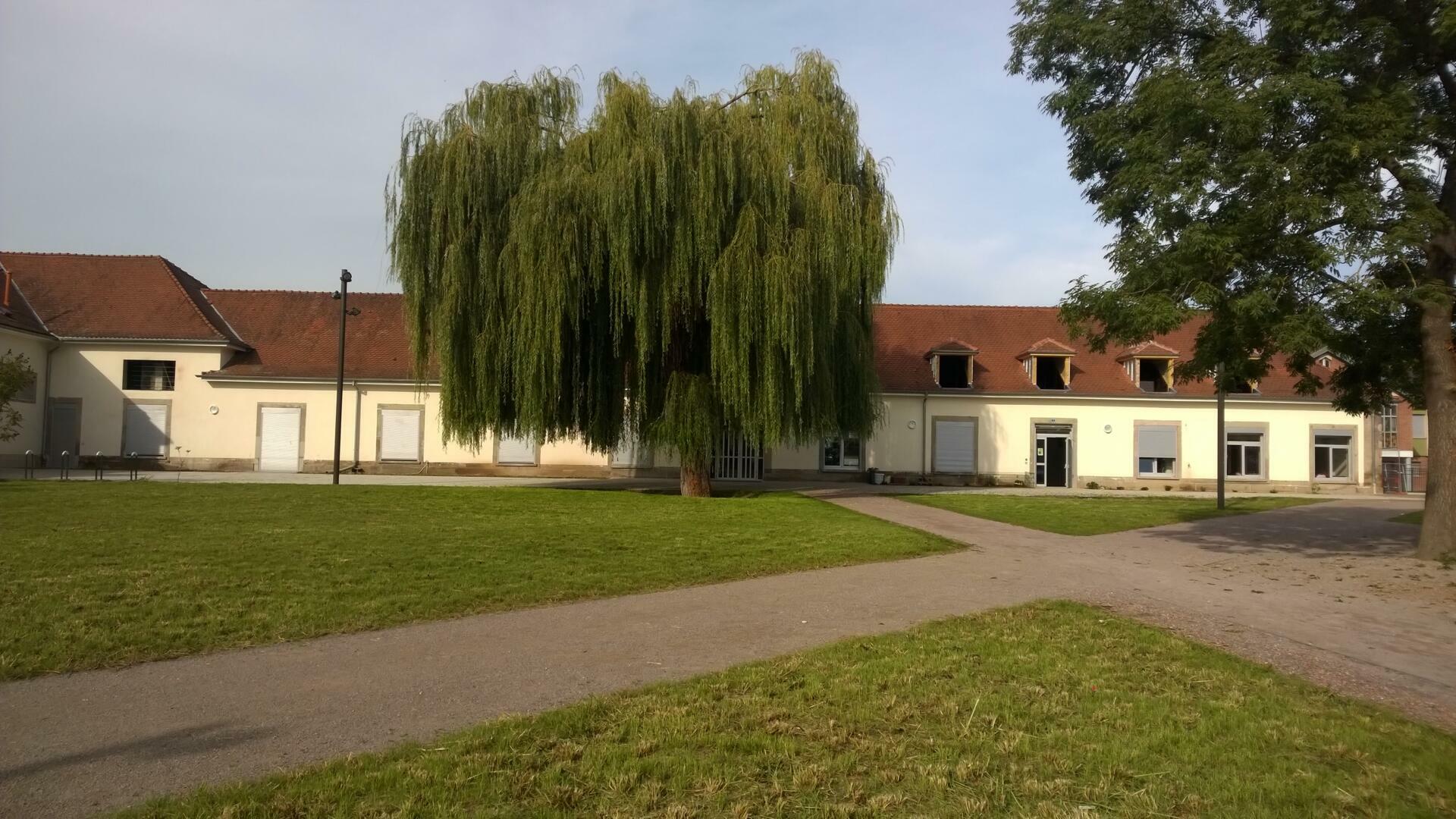Photo de Mosquée Neuhof
