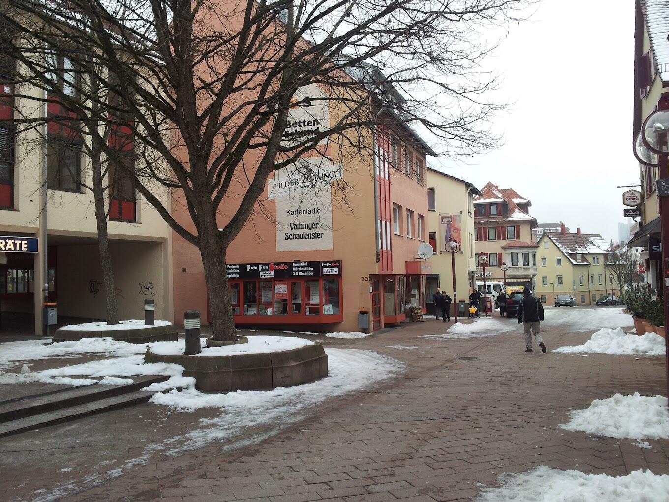 Foto von Vaihingen Masjid